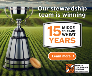 MTW_24_25_Anniversary_Digital_Ads_static_2.1