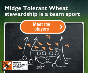 MTW_24_25_Infographic_Digital_Ad_5_static