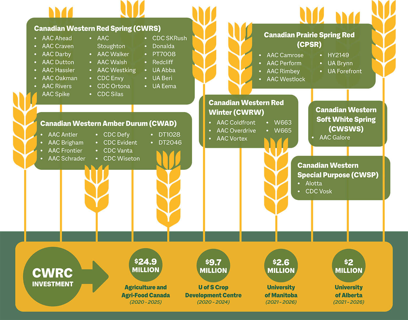 Download the ‘Farmer Investment Produces Field-Ready Varieties’ PDF (175k)