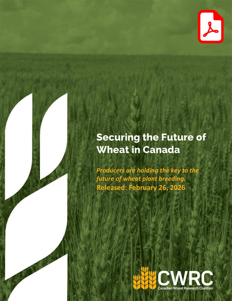 Download Report: Securing the Future of Wheat in Canada: Producers are holding the key to the future of wheat plant breeding.